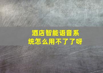 酒店智能语音系统怎么用不了了呀