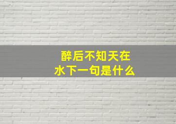 醉后不知天在水下一句是什么