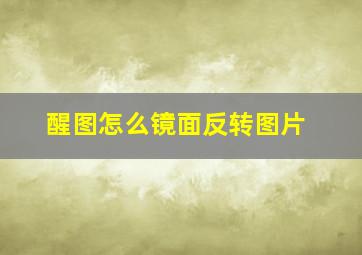 醒图怎么镜面反转图片