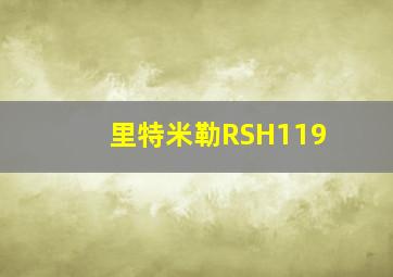 里特米勒RSH119