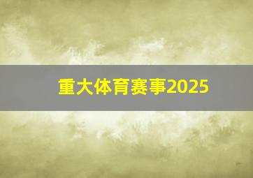 重大体育赛事2025