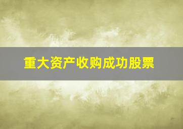 重大资产收购成功股票