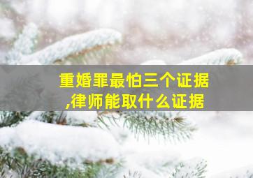 重婚罪最怕三个证据,律师能取什么证据