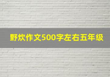 野炊作文500字左右五年级