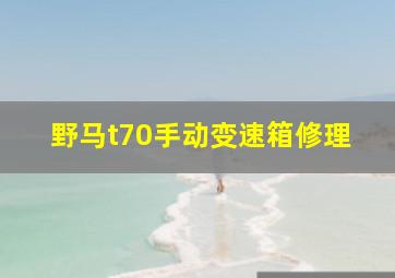 野马t70手动变速箱修理