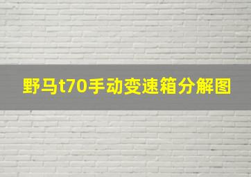 野马t70手动变速箱分解图