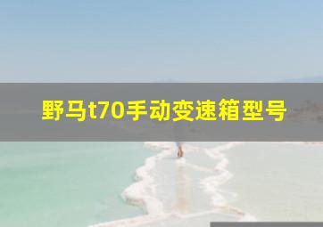 野马t70手动变速箱型号