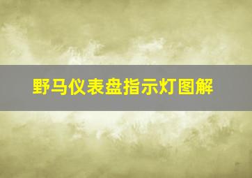 野马仪表盘指示灯图解