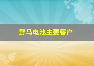 野马电池主要客户