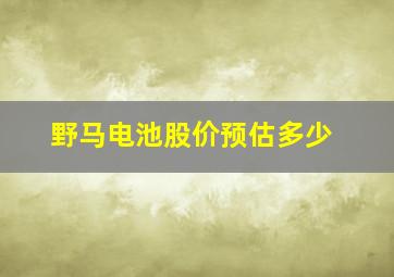 野马电池股价预估多少