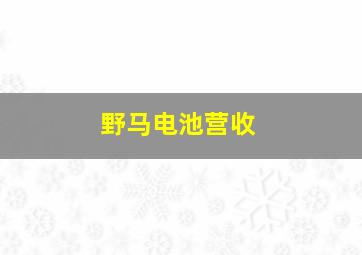 野马电池营收