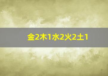 金2木1水2火2土1