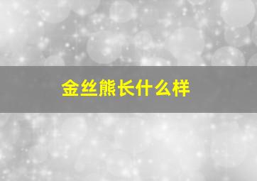 金丝熊长什么样