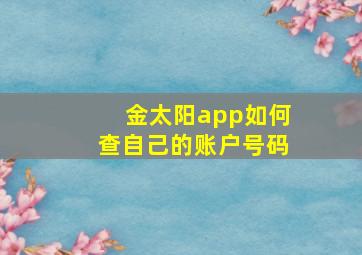 金太阳app如何查自己的账户号码