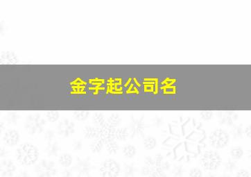 金字起公司名