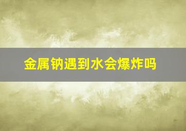 金属钠遇到水会爆炸吗