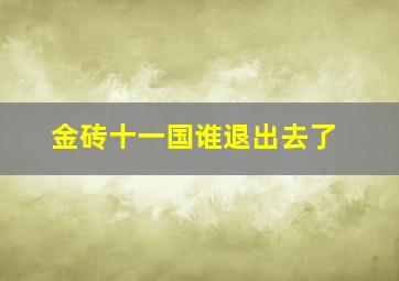 金砖十一国谁退出去了