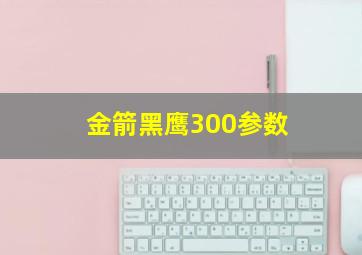 金箭黑鹰300参数