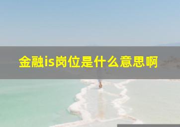 金融is岗位是什么意思啊