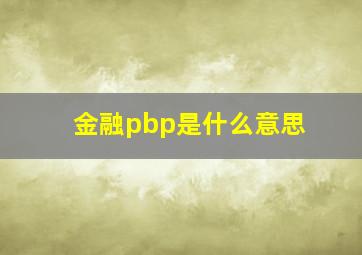 金融pbp是什么意思