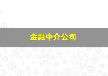 金融中介公司