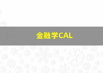 金融学CAL