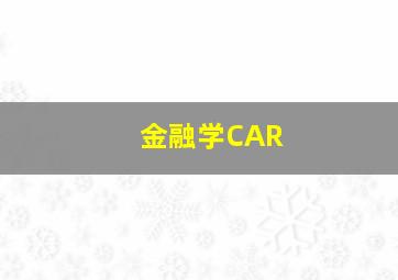 金融学CAR