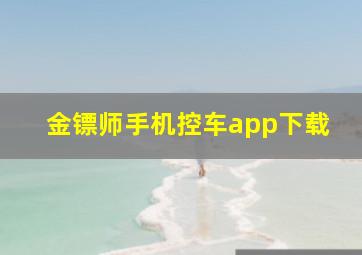 金镖师手机控车app下载