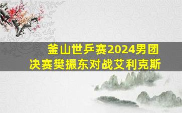 釜山世乒赛2024男团决赛樊振东对战艾利克斯