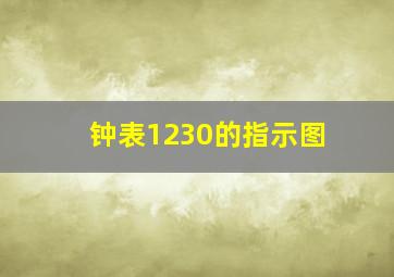 钟表1230的指示图