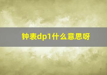 钟表dp1什么意思呀