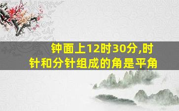 钟面上12时30分,时针和分针组成的角是平角