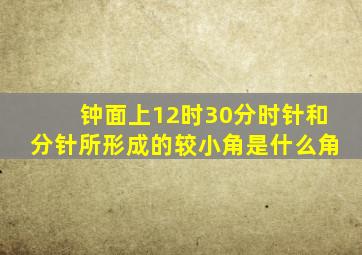 钟面上12时30分时针和分针所形成的较小角是什么角