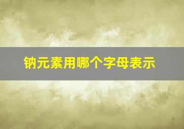 钠元素用哪个字母表示