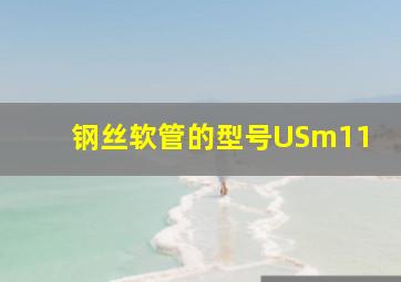 钢丝软管的型号USm11