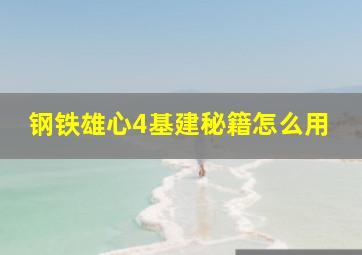 钢铁雄心4基建秘籍怎么用