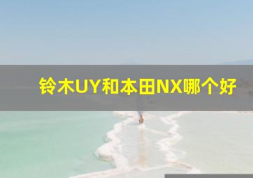 铃木UY和本田NX哪个好