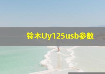 铃木Uy125usb参数