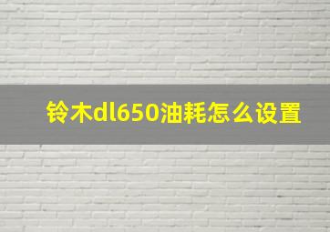 铃木dl650油耗怎么设置