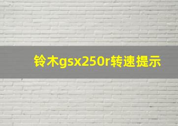 铃木gsx250r转速提示