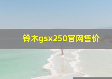 铃木gsx250官网售价