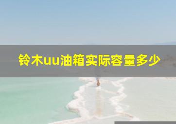 铃木uu油箱实际容量多少