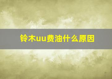 铃木uu费油什么原因