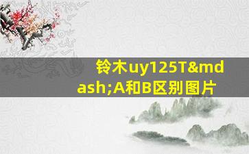 铃木uy125T—A和B区别图片