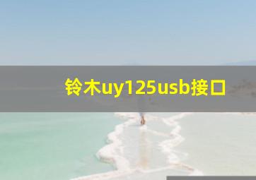 铃木uy125usb接口