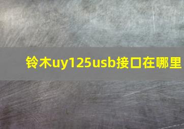 铃木uy125usb接口在哪里