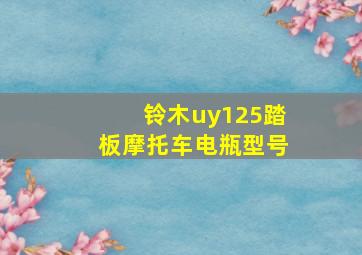 铃木uy125踏板摩托车电瓶型号