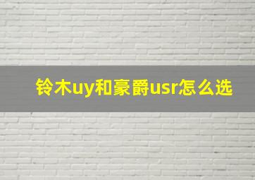 铃木uy和豪爵usr怎么选