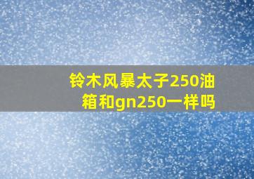 铃木风暴太子250油箱和gn250一样吗