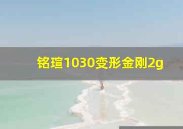 铭瑄1030变形金刚2g